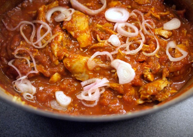 Mexican Chicken Stew with zingy onions