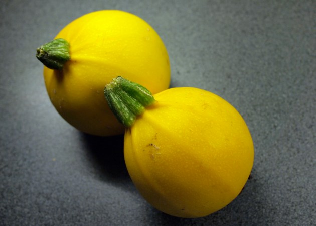 Round courgettes Round courgetters
